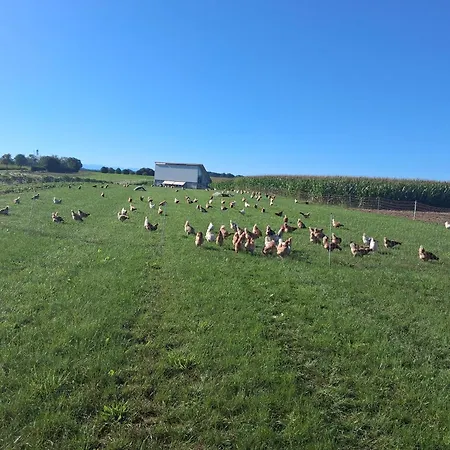 Tinyhaus Lara Tatil Evi *