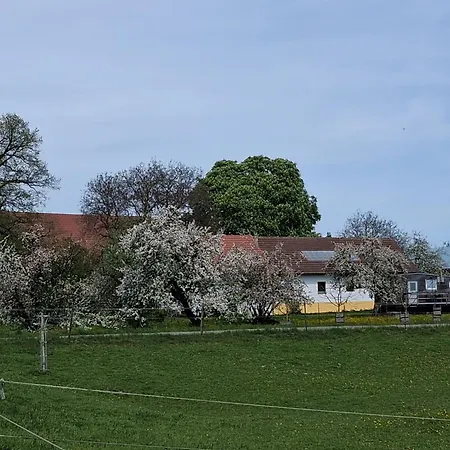 Tinyhaus Lara * Bad Waldsee