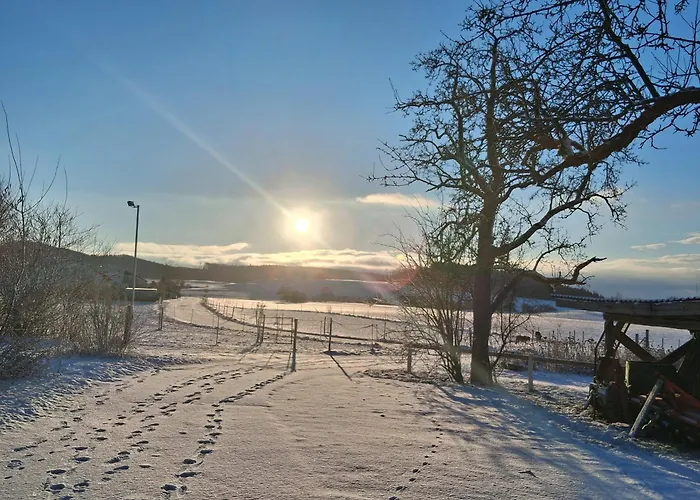 Tatil Evi Tinyhaus Lara *