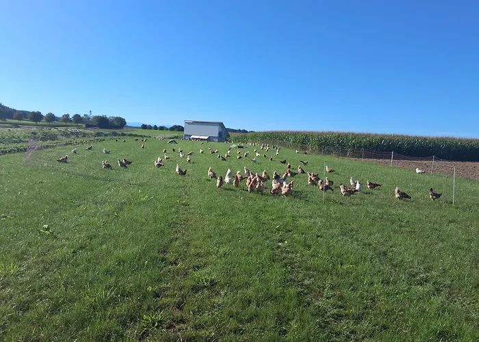 Tinyhaus Lara Casa de Férias *